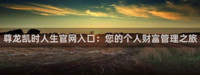 尊龙凯时人生官网入口：您的个人财富管理之旅