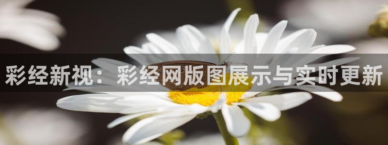 彩经新视：彩经网版图展示与实时更新